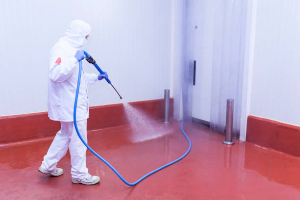 Best Rust Removal  in South Barre, VT